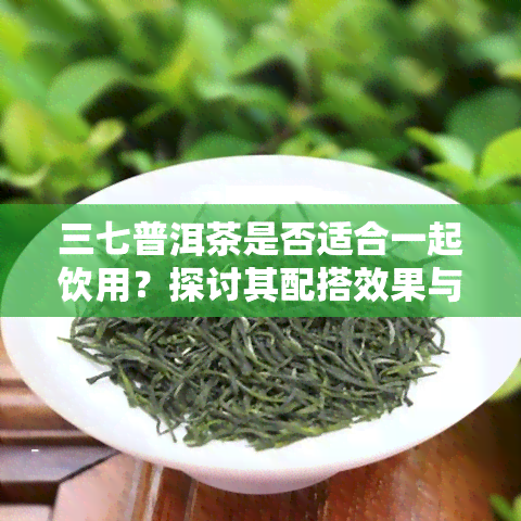 三七普洱茶是否适合一起饮用？探讨其配搭效果与注意事