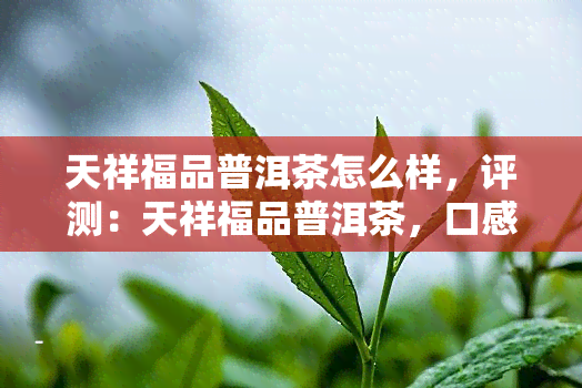 天祥福品普洱茶怎么样，评测：天祥福品普洱茶，口感如何？