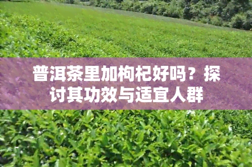 普洱茶里加枸杞好吗？探讨其功效与适宜人群