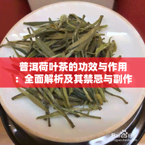 普洱荷叶茶的功效与作用：全面解析及其禁忌与副作用