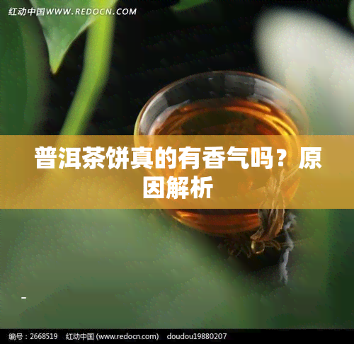 普洱茶饼真的有香气吗？原因解析