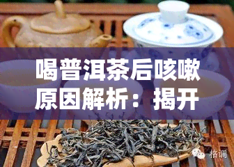 喝普洱茶后咳嗽原因解析：揭开背后的原因