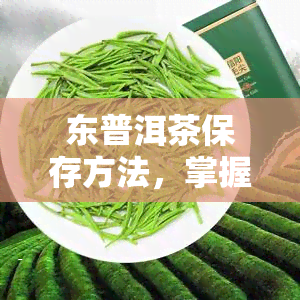 东普洱茶保存方法，掌握东普洱茶的正确保存方法，让你品尝到更佳的口感！