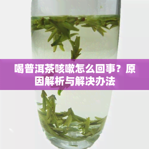 喝普洱茶咳嗽怎么回事？原因解析与解决办法