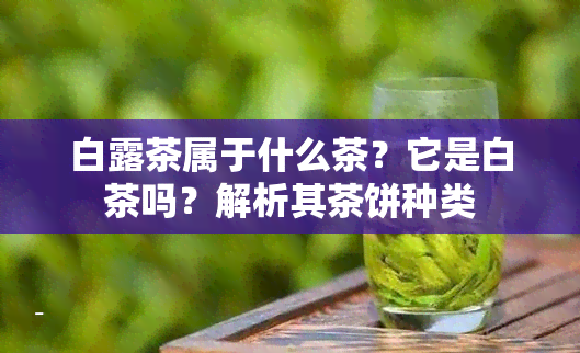 白露茶属于什么茶？它是白茶吗？解析其茶饼种类