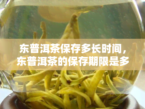 东普洱茶保存多长时间，东普洱茶的保存期限是多久？