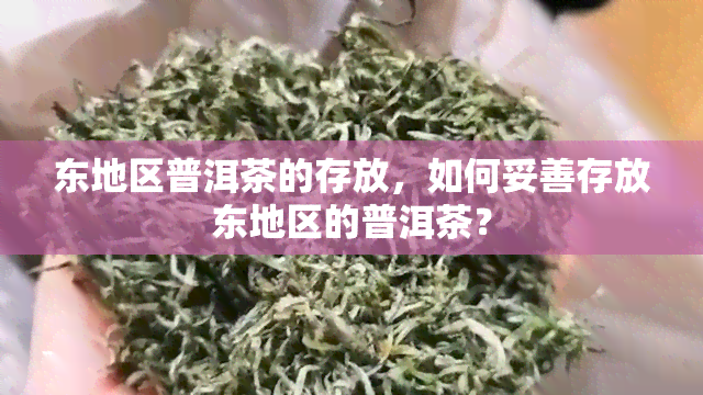 东地区普洱茶的存放，如何妥善存放东地区的普洱茶？