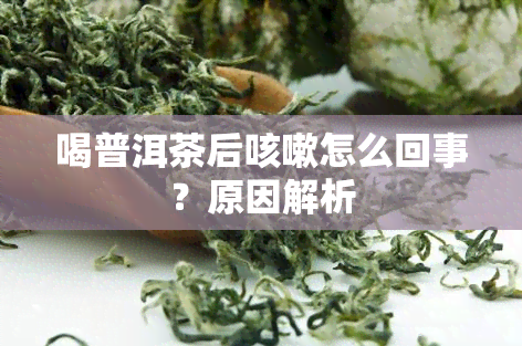 喝普洱茶后咳嗽怎么回事？原因解析