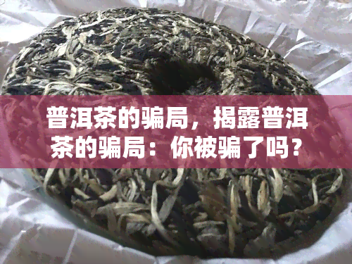 普洱茶的骗局，揭露普洱茶的骗局：你被骗了吗？