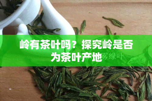 岭有茶叶吗？探究岭是否为茶叶产地