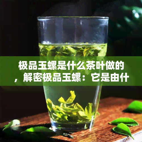 极品玉螺是什么茶叶做的，解密极品玉螺：它是由什么茶叶制成的？