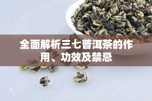 全面解析三七普洱茶的作用、功效及禁忌