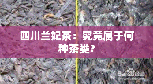 四川兰妃茶：究竟属于何种茶类？