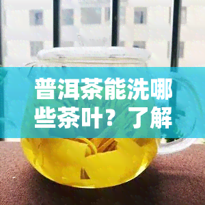 普洱茶能洗哪些茶叶？了解适合搭配的茶叶品种与口感