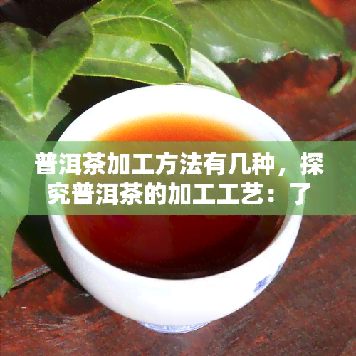 普洱茶加工方法有几种，探究普洱茶的加工工艺：了解其多样化的制作方法