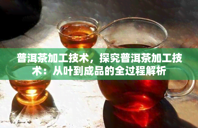 普洱茶加工技术，探究普洱茶加工技术：从叶到成品的全过程解析