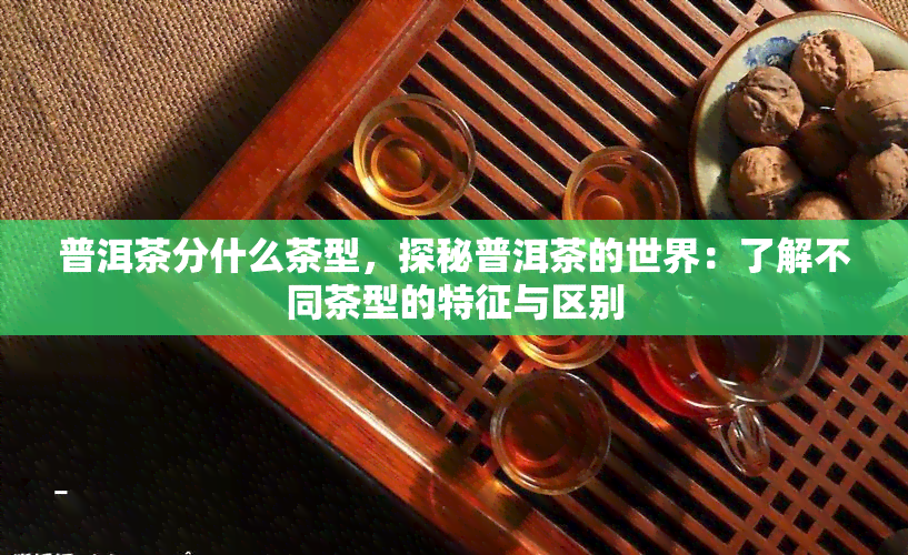 普洱茶分什么茶型，探秘普洱茶的世界：了解不同茶型的特征与区别