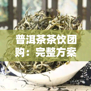 普洱茶茶饮团购：完整方案及价格一览