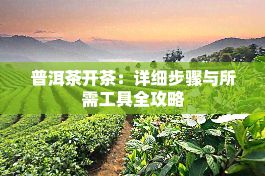 普洱茶开茶：详细步骤与所需工具全攻略