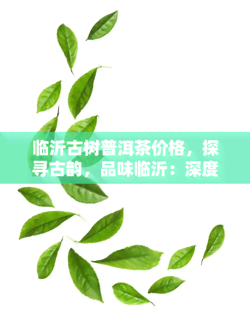 临沂古树普洱茶价格，探寻古韵，品味临沂：深度解析古树普洱茶的价格与价值