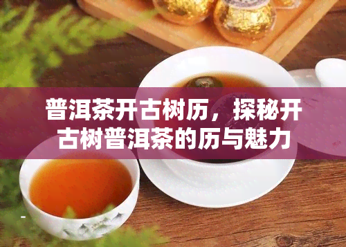 普洱茶开古树历，探秘开古树普洱茶的历与魅力