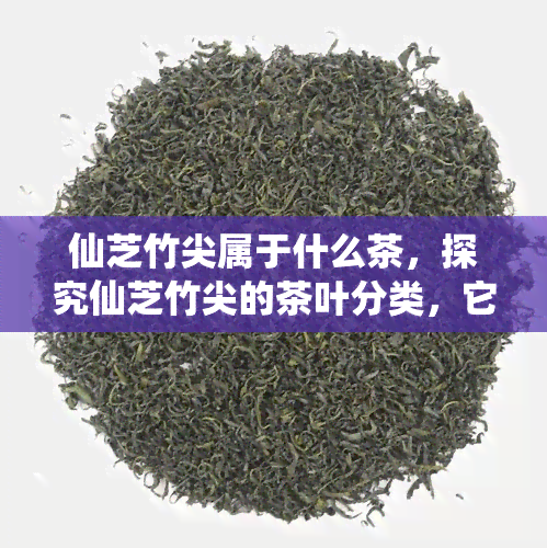 仙芝竹尖属于什么茶，探究仙芝竹尖的茶叶分类，它属于哪一类？