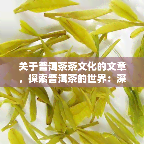 关于普洱茶茶文化的文章，探索普洱茶的世界：深入了解其丰富的茶文化