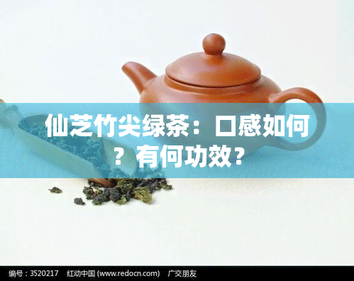 仙芝竹尖绿茶：口感如何？有何功效？