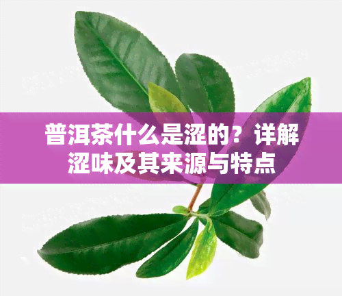 普洱茶什么是涩的？详解涩味及其来源与特点