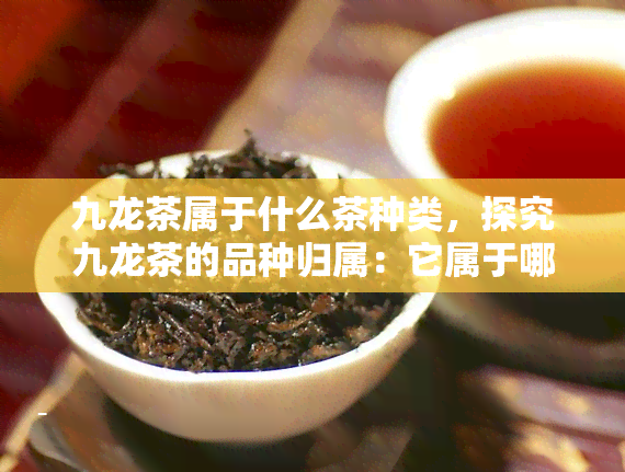 九龙茶属于什么茶种类，探究九龙茶的品种归属：它属于哪一类茶叶？