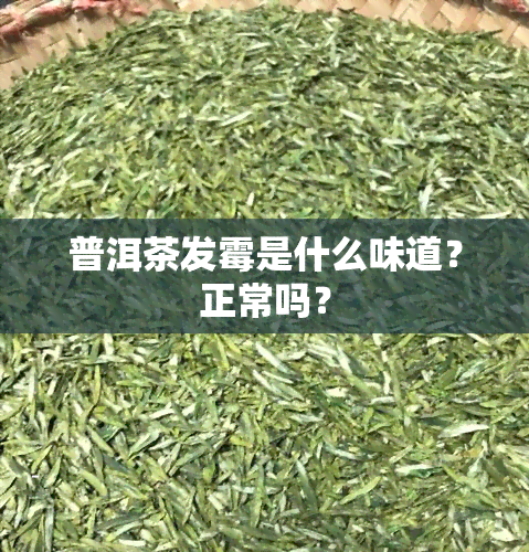 普洱茶发霉是什么味道？正常吗？