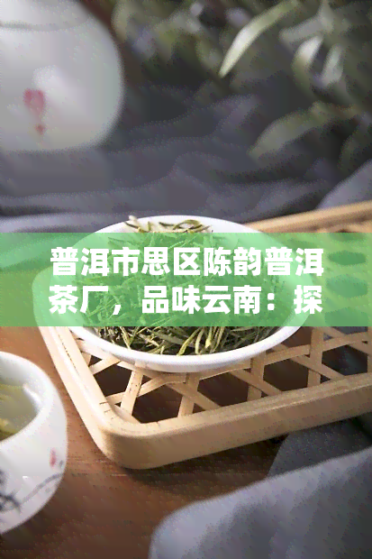 普洱市思区陈韵普洱茶厂，品味云南：探索普洱市思区陈韵普洱茶厂的茶叶制作艺术