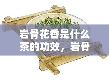 岩骨花香是什么茶的功效，岩骨花香：揭示这种茶叶的神奇功效