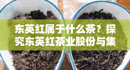 东英红属于什么茶？探究东英红茶业股份与集团