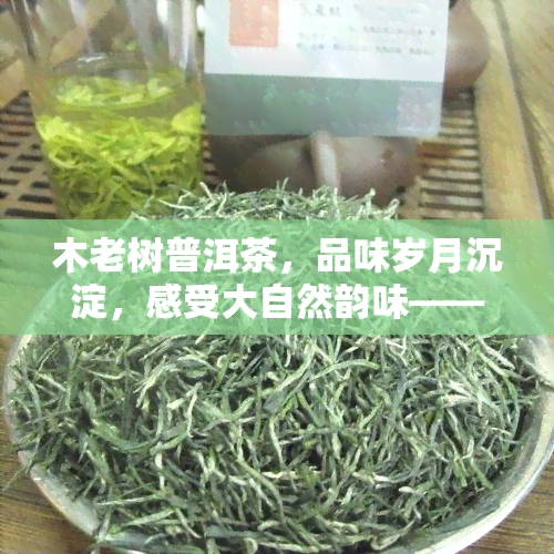 木老树普洱茶，品味岁月沉淀，感受大自然韵味——木老树普洱茶的魅力探索