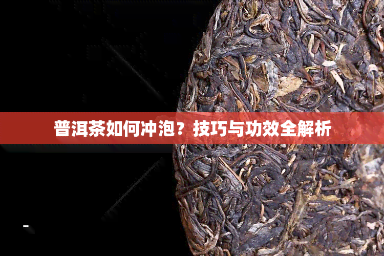 普洱茶如何冲泡？技巧与功效全解析