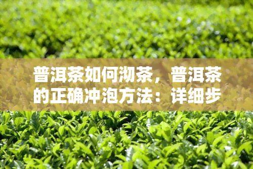 普洱茶如何沏茶，普洱茶的正确冲泡方法：详细步骤与技巧