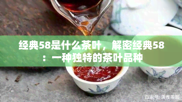 经典58是什么茶叶，解密经典58：一种独特的茶叶品种