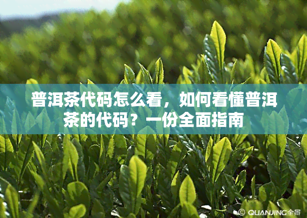 普洱茶代码怎么看，如何看懂普洱茶的代码？一份全面指南