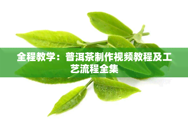 全程教学：普洱茶制作视频教程及工艺流程全集