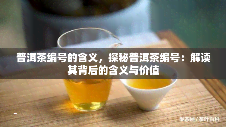 普洱茶编号的含义，探秘普洱茶编号：解读其背后的含义与价值