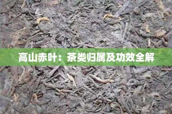 高山赤叶：茶类归属及功效全解