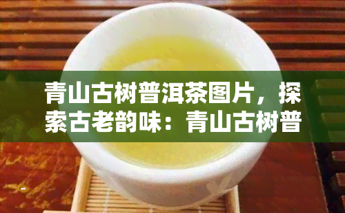 青山古树普洱茶图片，探索古老韵味：青山古树普洱茶的独特魅力与美丽图片