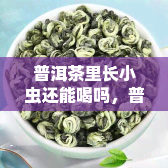 普洱茶里长小虫还能喝吗，普洱茶中发现小虫，是否还能安全饮用？