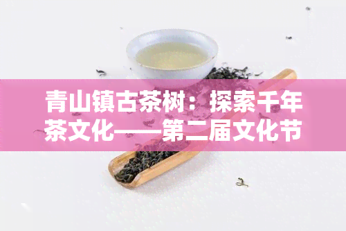 青山镇古茶树：探索千年茶文化——第二届文化节活动全攻略