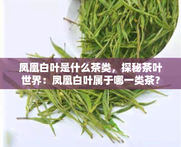 凤凰白叶是什么茶类，探秘茶叶世界：凤凰白叶属于哪一类茶？