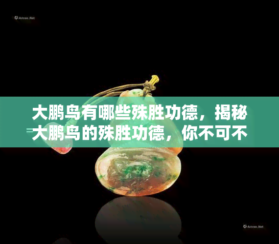 大鹏鸟有哪些殊胜功德，揭秘大鹏鸟的殊胜功德，你不可不知的神秘生物！