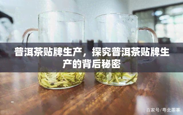 普洱茶贴牌生产，探究普洱茶贴牌生产的背后秘密