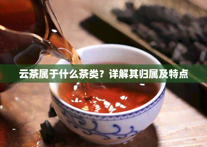 云茶属于什么茶类？详解其归属及特点