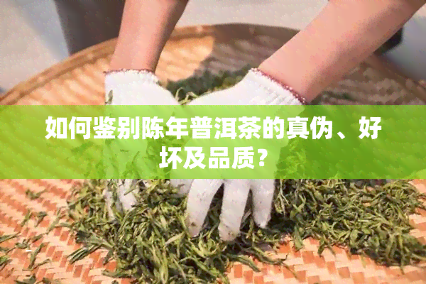 如何鉴别陈年普洱茶的真伪、好坏及品质？